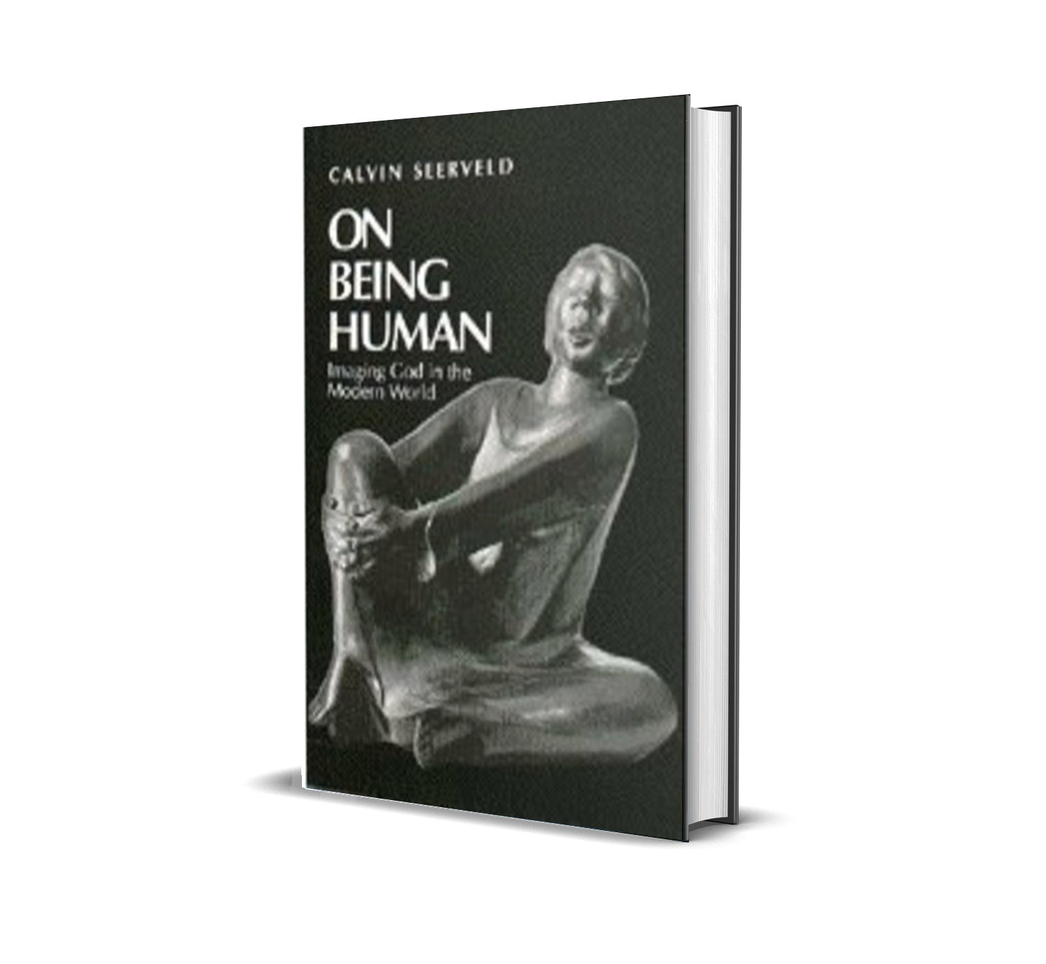 On Being Human: Imaging God in the Modern World - Calvin Seerveld